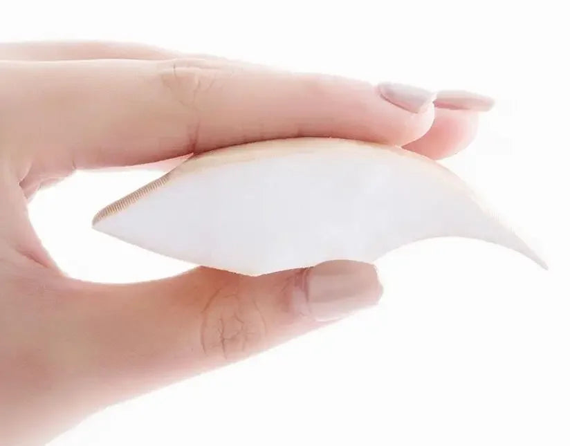 Push-Up Padded Sponge Bra Bikini Set for Women